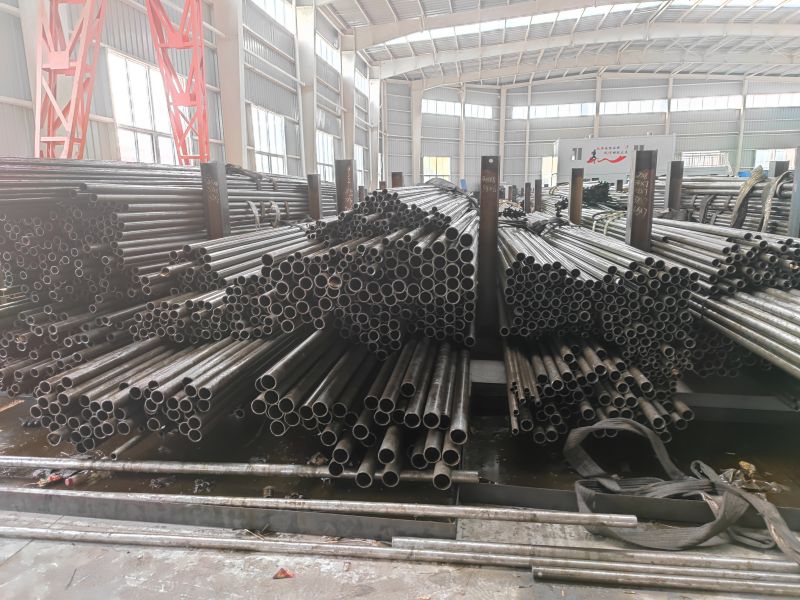 IMG_20230401_103410.jpg IMG_20230401_103410.jpg