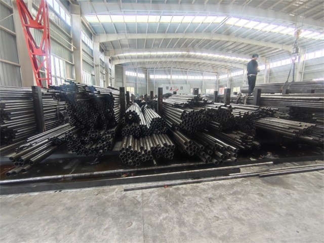 IMG_20230401_141301.jpg IMG_20230401_141301.jpg