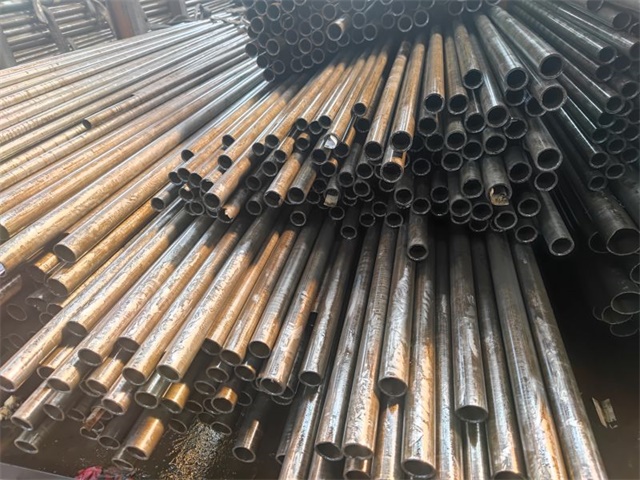 IMG_20230401_144040.jpg IMG_20230401_144040.jpg